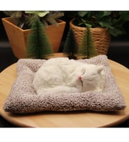 Minderde Uyuyan Sesli Peluş Kedi Cat  Büyük Boy 22cmx25cm - Beyaz Kedi