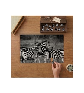 Zebra Ailesi Tasarımı 240 parça Ahşap Puzzle Ahşap Kutuda MP09816