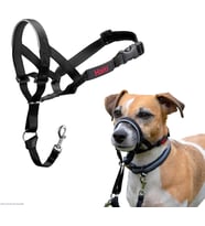 Headcollar, Siyah, Boyut 1