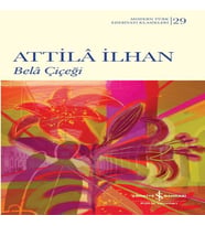 Bela Çiçeği
