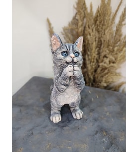 Kedi Polyester Biblo Model 1