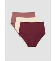 LCW DREAM Bordo Klasik Külot 3'lü