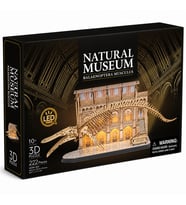 Natural Museum - Mavi Balina 3D Puzzle Led Işıklı