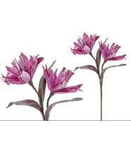 Latin Koyu Mor 96cm Kıvrılabilir Dekoratif Gerçekçi Dekor Hediyelik 1 Adet  1LF-12130D