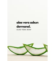 Dermanel Aloe Vera Kabak Lifli Sabun