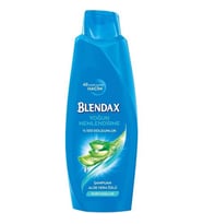 Blendax Yoğun Nemlendirme Aloe Vera Şampuan 500 ml
