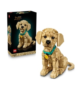 Lego Icons Yavru Golden Retriever 11384