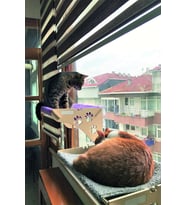 HOME Cama Asılan Kedi Yatağı Vantuzlu