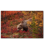 Cakapuzzle Sonbahar Renkli Ormandaki Boz Ayı Puzzle Yapboz MDF (Ahşap) (120 Parça)