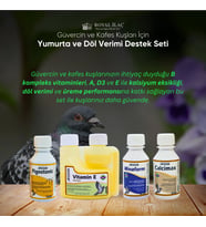 Royal İlaç Güvercin ve Kafes Kuşları İçin Mini Yumurta ve Döl Verimi Destek Seti