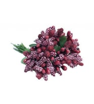 ÇİÇEK CİPSO BORDO PK:144-