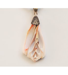 Shell Beauty Kolye Ucu