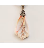Shell Beauty Kolye Ucu