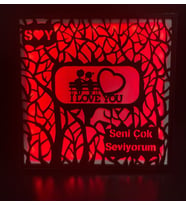 Sevdiklerinize Işık Saçan Unutulmaz Bir Hediye! ( Canlı Anılar )