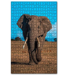 Cakapuzzle Çayırda Yetişkin Afrika Fili Puzzle Yapboz MDF (Ahşap) (120 Parça)