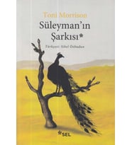 Süleyman’ın Şarkısı