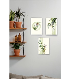 Kuş Tasarımlı 3 Parçalı 20x30 cm Ahşap Tablo