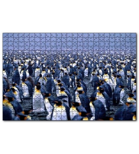 Cakapuzzle İmparator Penguenleri Mahşer Kalabalığı  Puzzle Yapboz MDF (Ahşap) (120 Parça)
