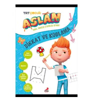 Aslan Dikkat ve Kodlama