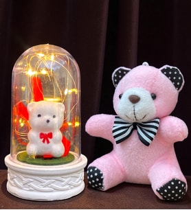 Led Işıklı Fanus ve Peluş Ayıcık Anahtarlık Premium Hediye Seti (Model 7)