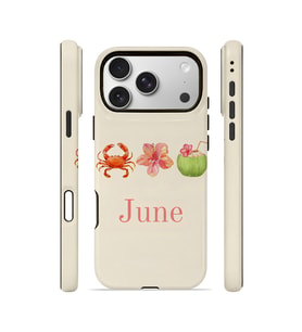 iPhone 17 Pro Vorian Çift Katmanlı Kılıf June Seaside