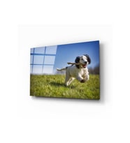 Miyrem Glasses Collection -A1^#  Köpek 3 Cam Tablo (Çok Renkli)