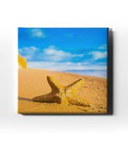 Deniz Yıldızı  Canvas Tablo MSK102