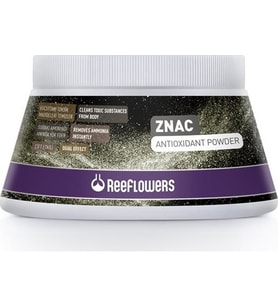 Reeflowers Znac Antioxidant Powder 500 ML