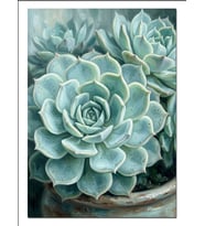 Echeveria Sukulent Mavi Yeşil Yaprak Dekoratif Kanvas - Mdf Ahşap Tablo