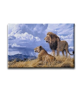 Aslan -Kaplan Kanvas Tablo HYY136