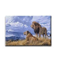 Aslan -Kaplan Kanvas Tablo HYY136