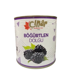 ÇINAR BÖĞÜRTLEN DOLGU 2700 G