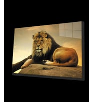 Aslan Hayvan Cam Tablo 4mm Dayanıklı Temperli Cam