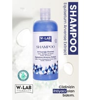 W-Lab Kozmetik Hızlı Uzamaya Yardımcı Bakım Şampuanı 400 ML