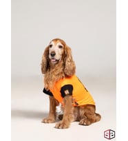 Yazlık Köpek Tsihrt Favorite Sound Köpek Kıyafeti 0-15Kg (Turuncu)