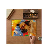 Güneşlenen Sevimli Köpek - Plaj - Tatil Tasarımı 240 parça Ahşap Puzzle Ahşap Kutuda MP09469