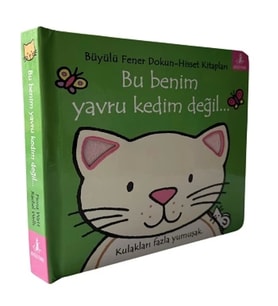 Bu Benim Yavru Kedim Değil… (Ciltli)