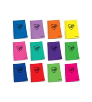 Çınar College Dikişli Plastik Kapak A4 60 Yaprak Kareli Defter 60/4 (12 Adet) (Karışık)