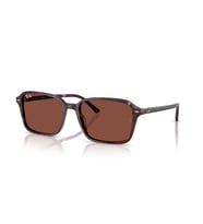 RB 2231 1416C5 58 Ray-Ban RAIMOND Güneş Gözlüğü