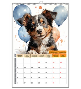 2026 KÖPEK COLOR DUVAR TAKVİMİ 33X48 cm-NTRDVR19