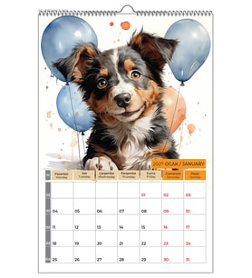 2027 KÖPEK COLOR DUVAR TAKVİMİ 33X48 cm-NTRDVR19