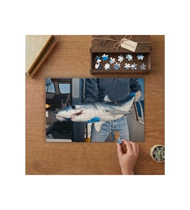 Sivriburun Camgöz (Mako) köpek balığı Tasarımı 240 parça Ahşap Puzzle Ahşap Kutuda MP07584