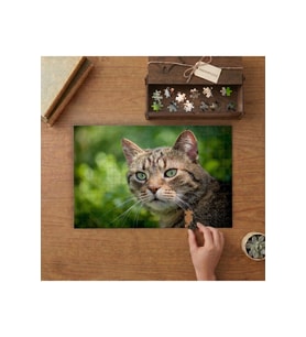 Kedi Portresi Tasarımı 240 parça Ahşap Puzzle Ahşap Kutuda MP10961