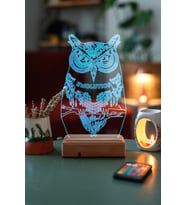 Kişiye Özel Fantastik Baykuş 3D Dekoratif Lamba
