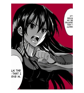 Akame Ga Öldür! - Akame Of Night Raid Tablo Ahşap Poster Dekoratif