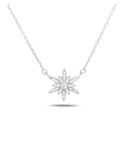 Swarovski Taşlı Kuzey Yıldızı Kar Tanesi Kadın Gümüş Kolye