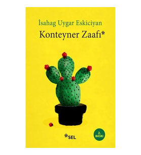 Konteyner Zaafı