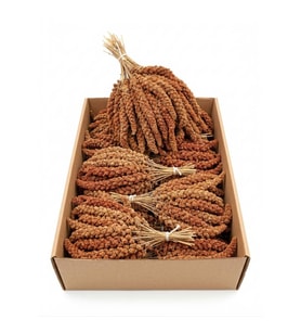 Kırmızı Dal Darı 12-20cm 1 Kg