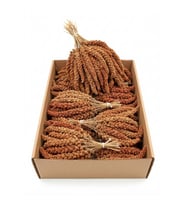 Kırmızı Dal Darı 12-20cm 1 Kg