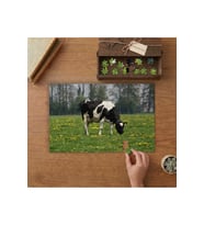 Otlayan İnek Tasarımı 240 parça Ahşap Puzzle Ahşap Kutuda MP07969